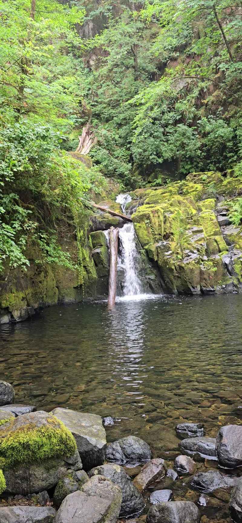 Clear pools that beg for water shoes Clear pools that beg for water shoes