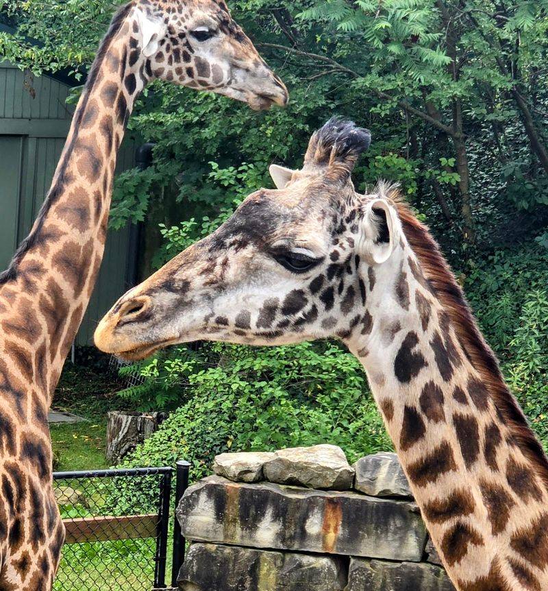 Cleveland Metroparks Zoo, Cleveland, OH