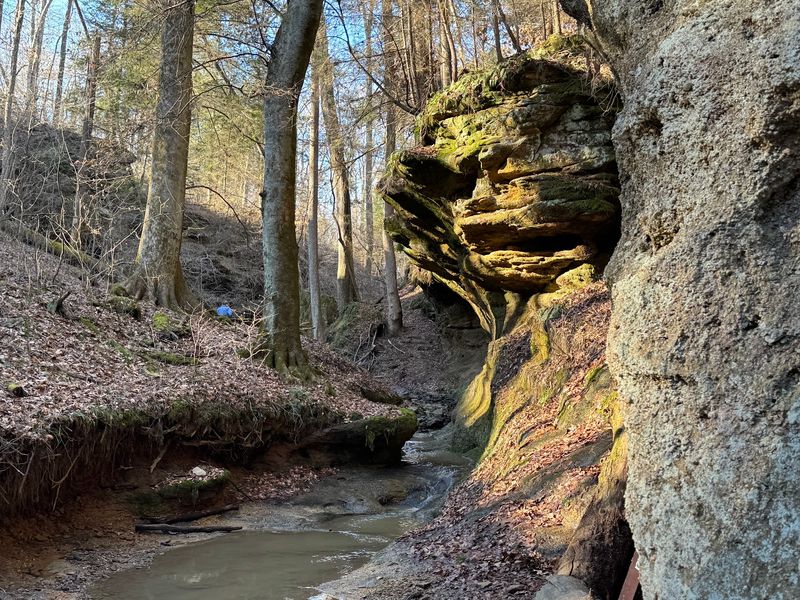 Cliffs, Waterfalls, and a Rock Shelter Worth the Detour Cliffs, Waterfalls, and a Rock Shelter Worth the Detour