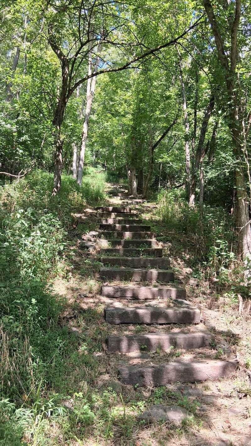 Climbing the 100 Steps to Freedom