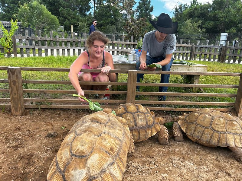 Coastal Care At The Alabama Gulf Coast Zoo In Gulf Shores Coastal Care At The Alabama Gulf Coast Zoo In Gulf Shores