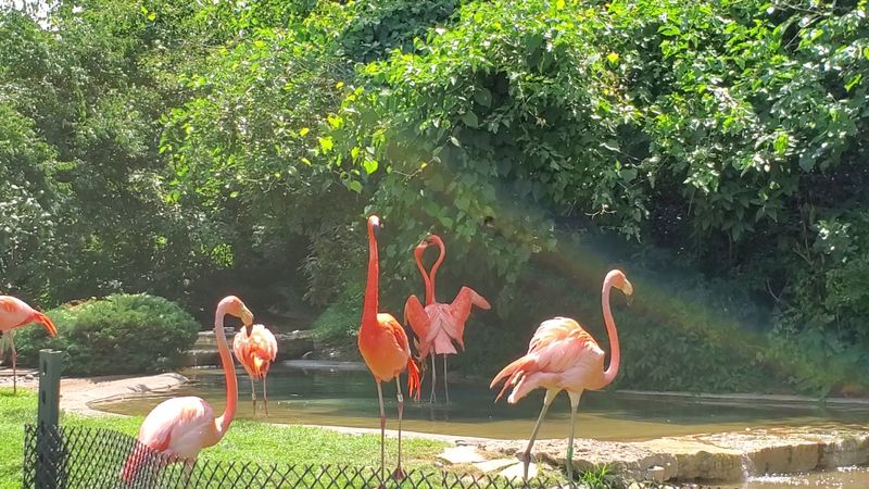 Columbus Zoo and Aquarium, Powell, OH