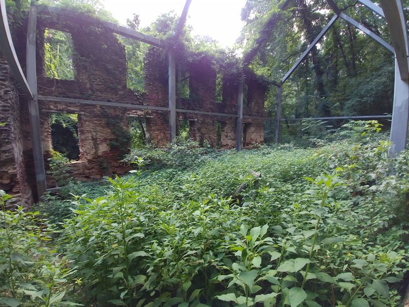 Concord Woolen Mill Ruins, Smyrna