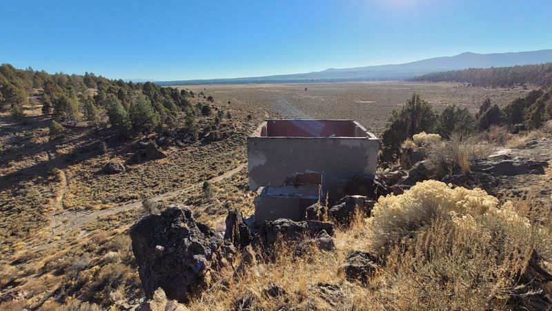 Concrete Bones Standing in the Sagebrush Concrete Bones Standing in the Sagebrush
