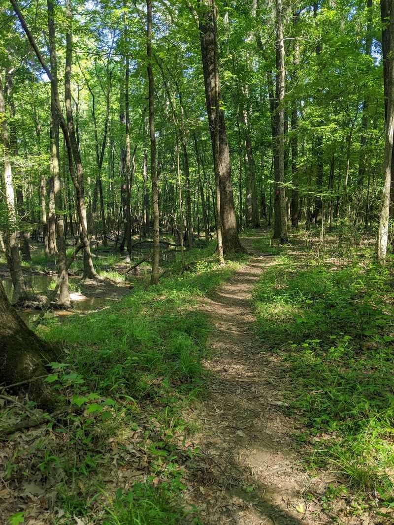 Congaree Creek Heritage Preserve, Cayce Congaree Creek Heritage Preserve, Cayce