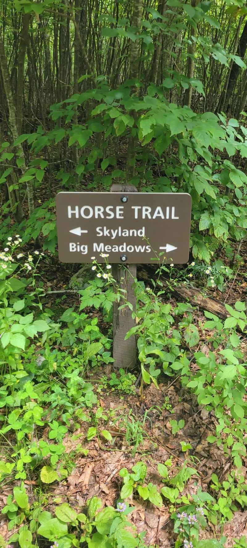 Connections To Bigger Adventures Nearby Connections To Bigger Adventures Nearby