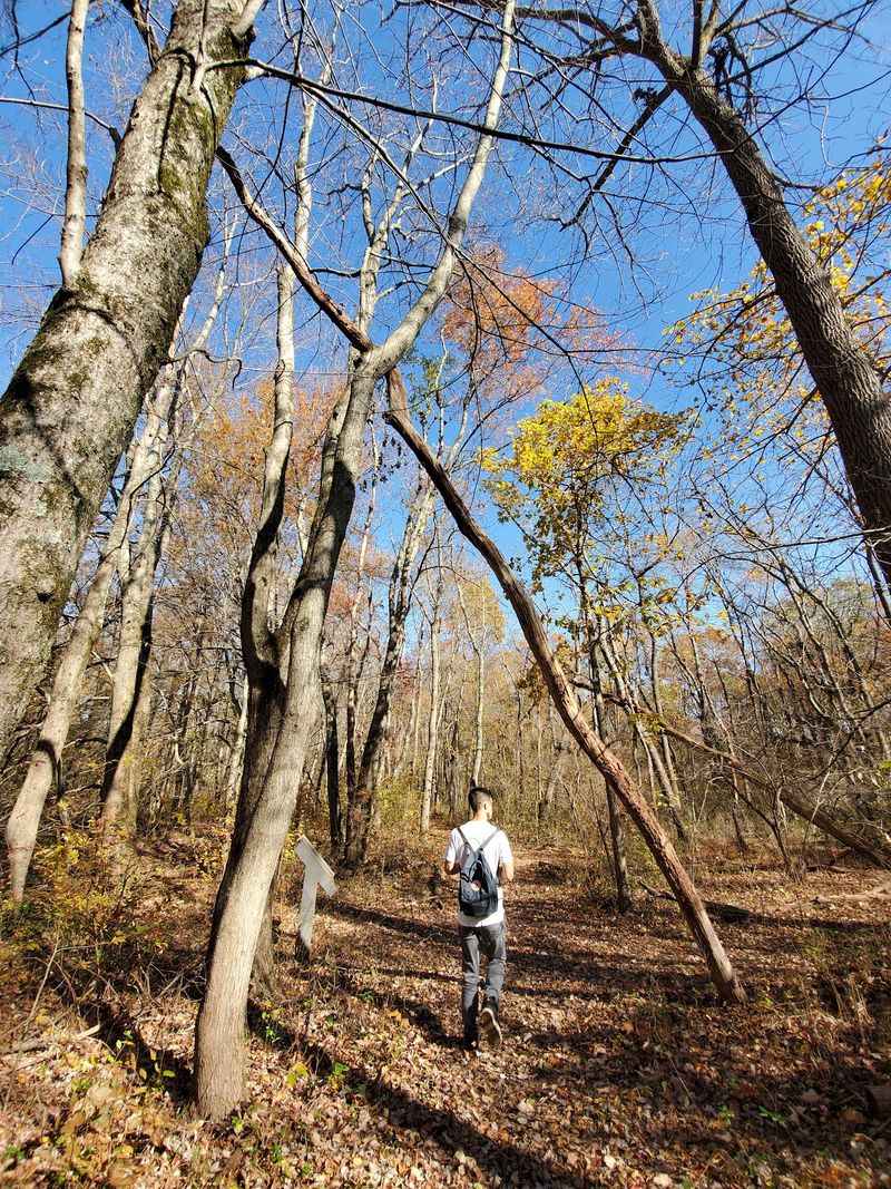 Connections To Neighboring Preserves Connections To Neighboring Preserves