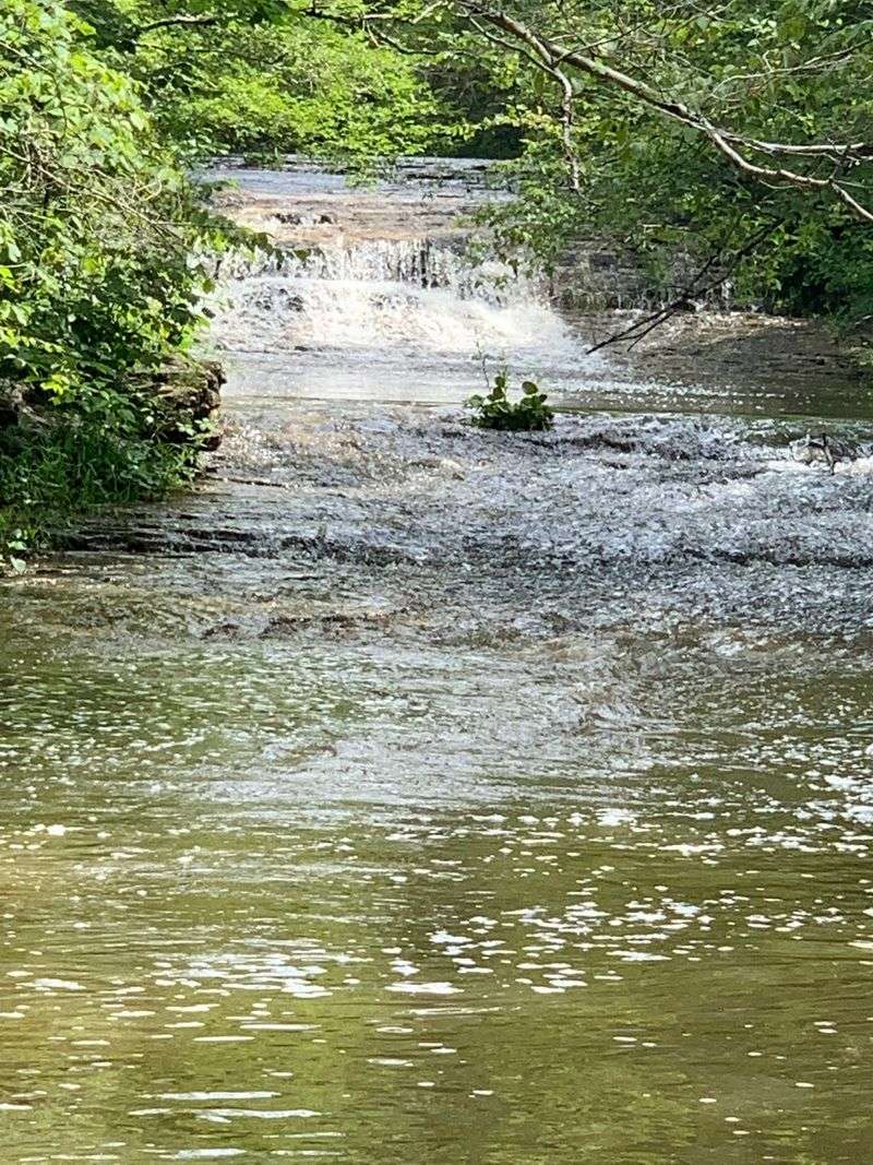 Coonville Creek Runs Surprisingly Clear
