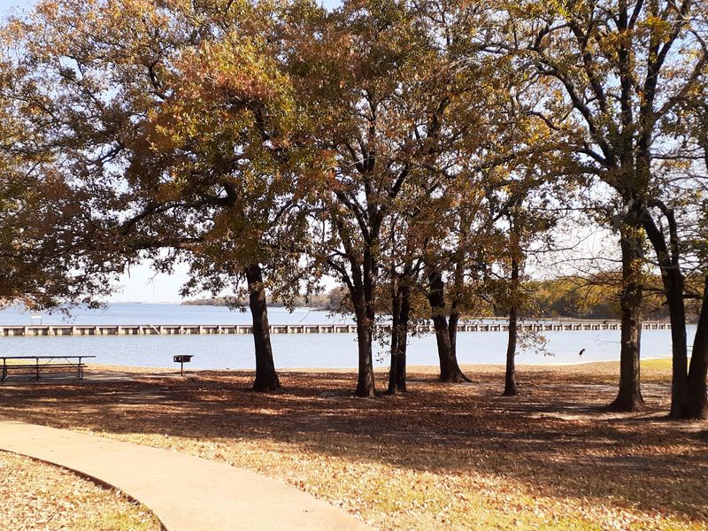 Cooper Lake State Park Cooper Lake State Park
