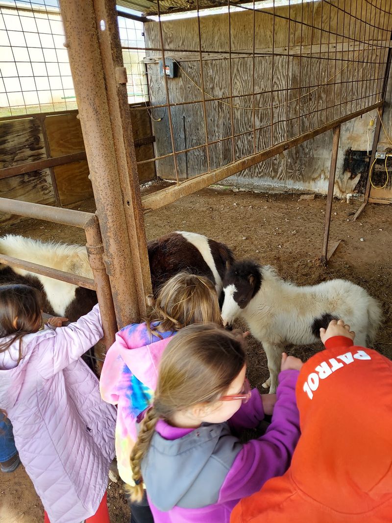 Cornerstone Kids Ranch, Ada, OK Cornerstone Kids Ranch, Ada, OK