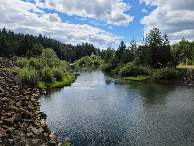 Cottage Grove and Its Covered Bridges