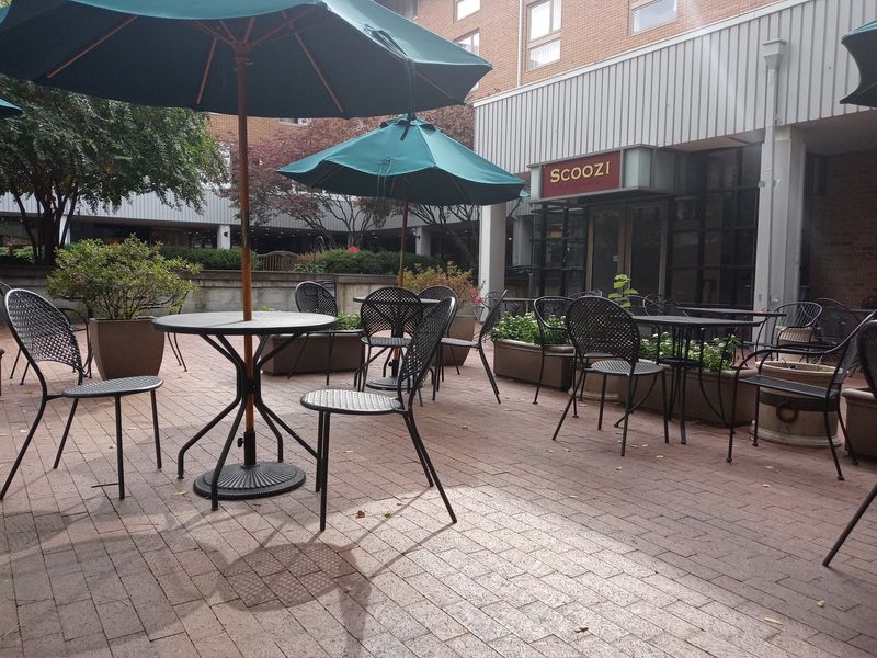 Courtyards Built for Lingering, Not Rushing