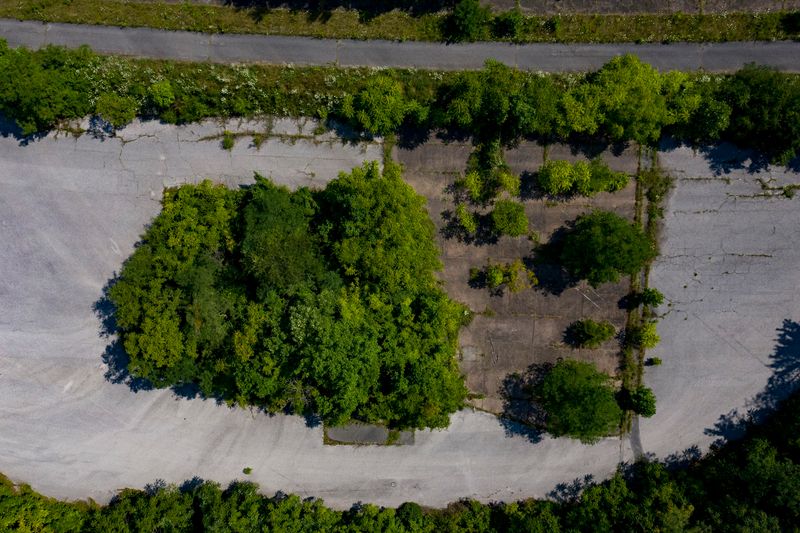 Cove Valley Travel Plaza and the Slow Return of the Forest Cove Valley Travel Plaza and the Slow Return of the Forest