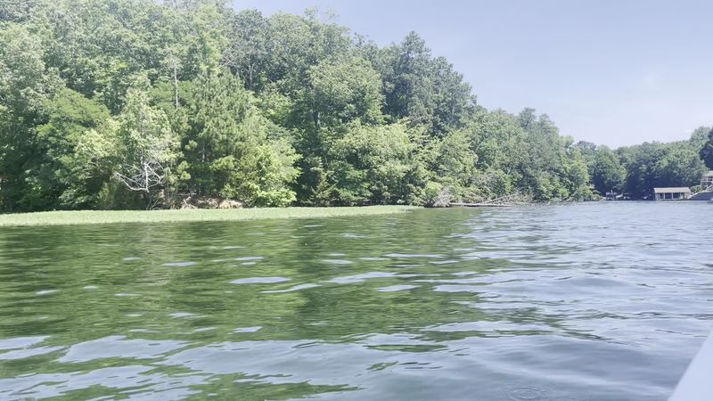 Coves Are the Hotspots You Should Watch Carefully