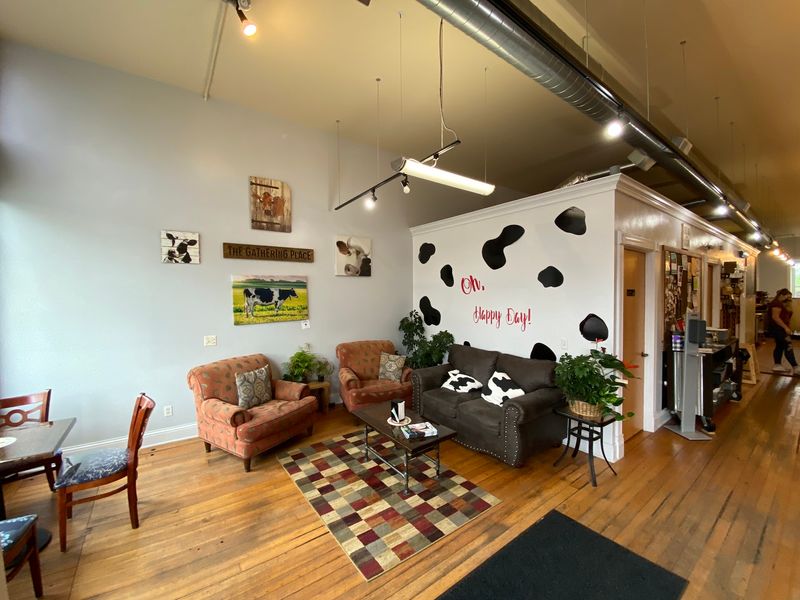Cow Decor That Shows Up Absolutely Everywhere Cow Decor That Shows Up Absolutely Everywhere