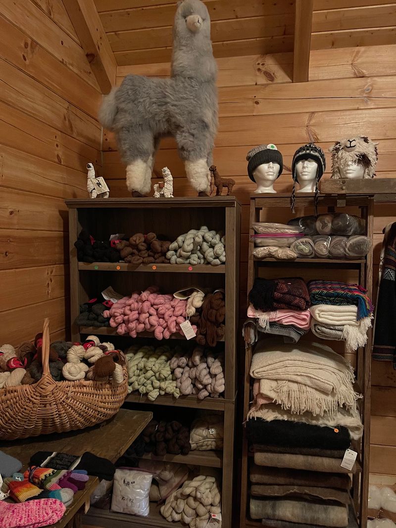 Cozy Finds in the Gift Shop Cozy Finds in the Gift Shop