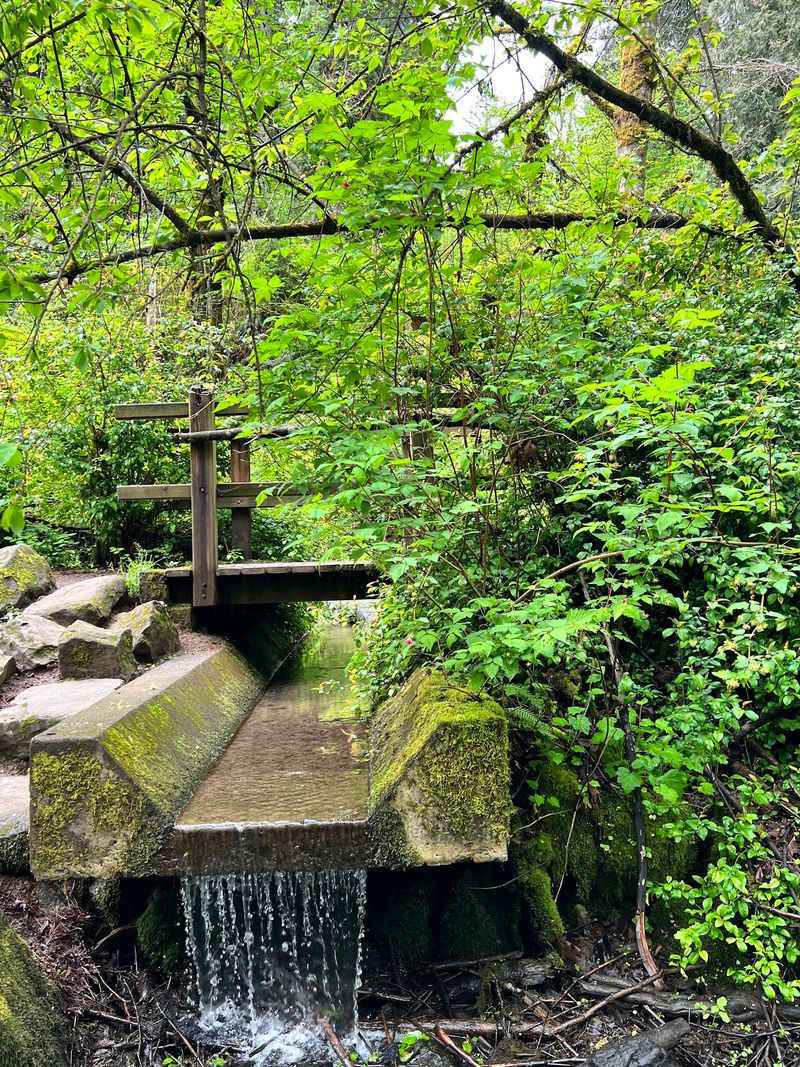 Creek Crossings And Little Waterfalls