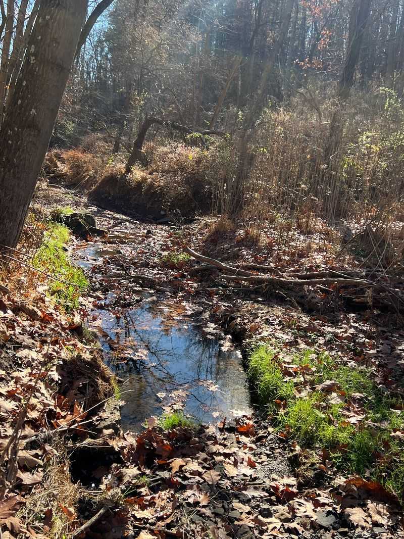 Crossing the Creek, What the Walk Actually Involves