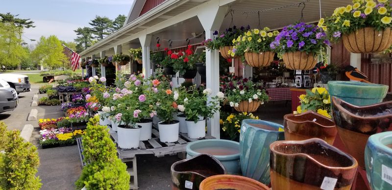 Cut Your Own Flowers And Garden Plants Cut Your Own Flowers And Garden Plants