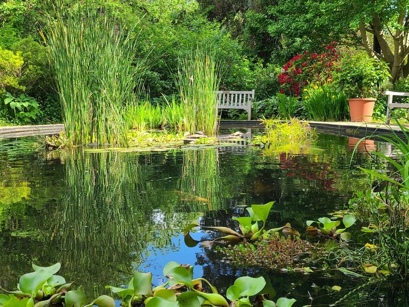 Deep Cuts into Natural Beauty, Deep Cut Gardens Deep Cuts into Natural Beauty, Deep Cut Gardens