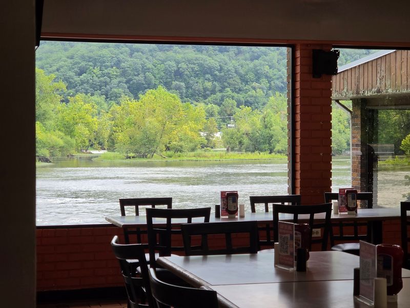 Deer, Herons, and Other Dinner Guests