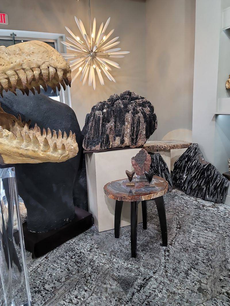Dinosaur Skulls and Mammoth Tusks Up Close