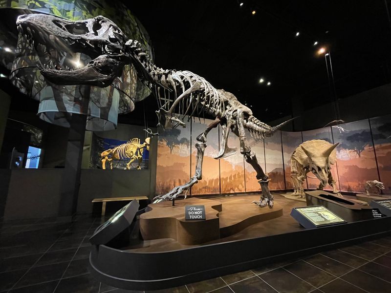 Dinosaurs Around Every Corner