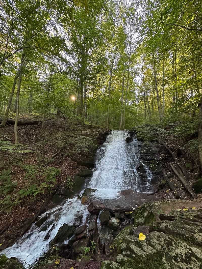 Douglas Trail to Laurel Falls