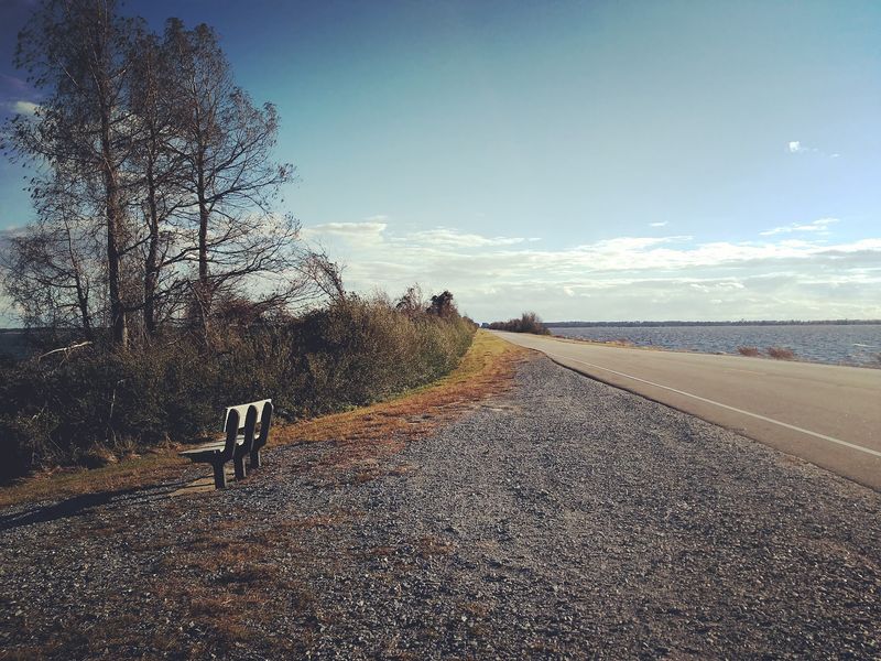 Driving the Gravel Wildlife Roads
