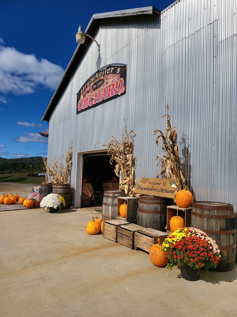 Drumheller's Orchard Anchors Nelson County Tradition Drumheller's Orchard Anchors Nelson County Tradition