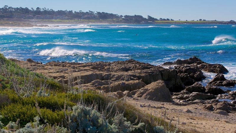 Dune Trails and Rocky Coves Next Door