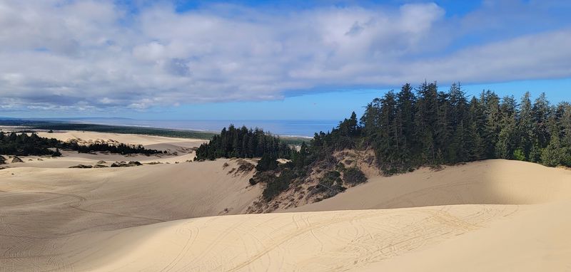Dunes That Roll Right Up To Town