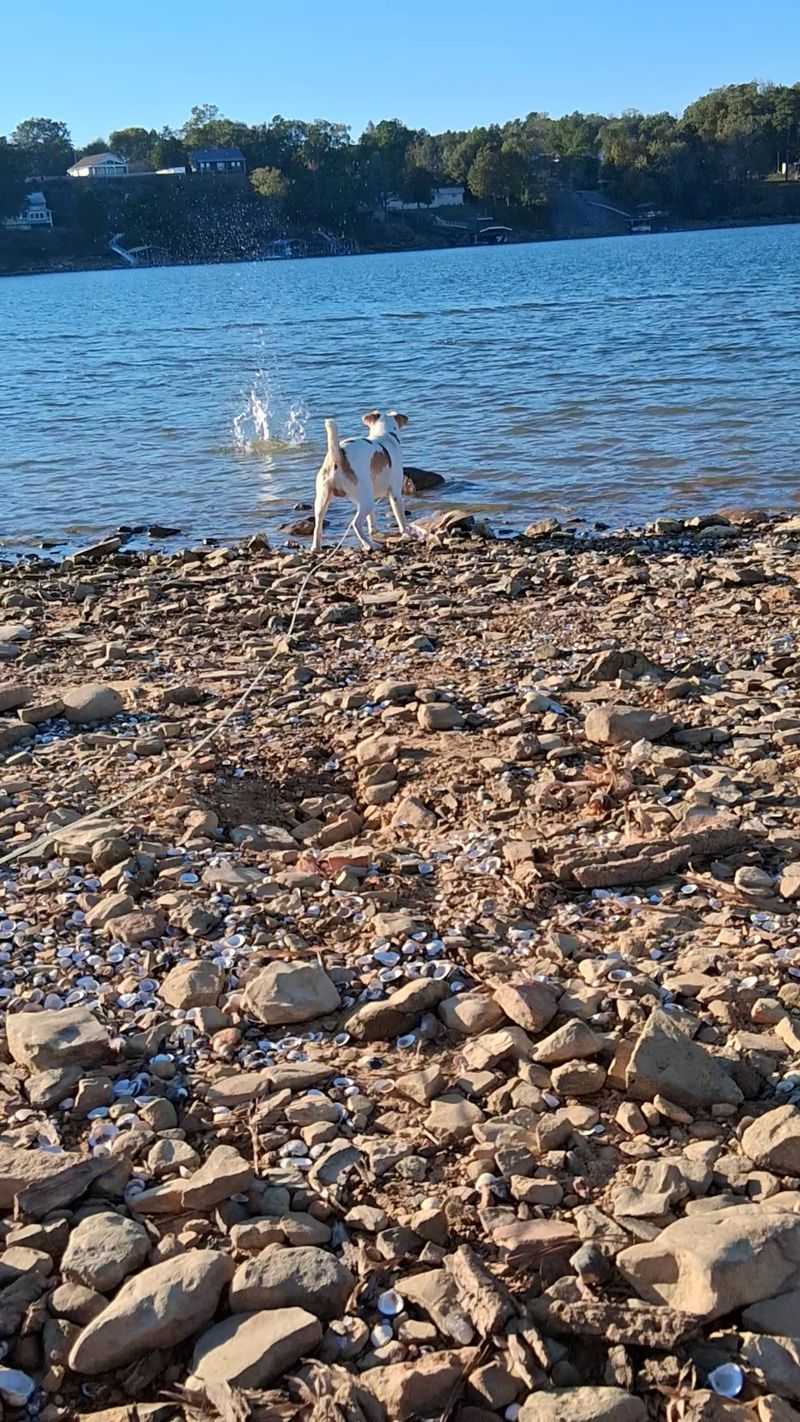 Easy Days At Smith Lake Park, Duncan Bridge, And Goat Island