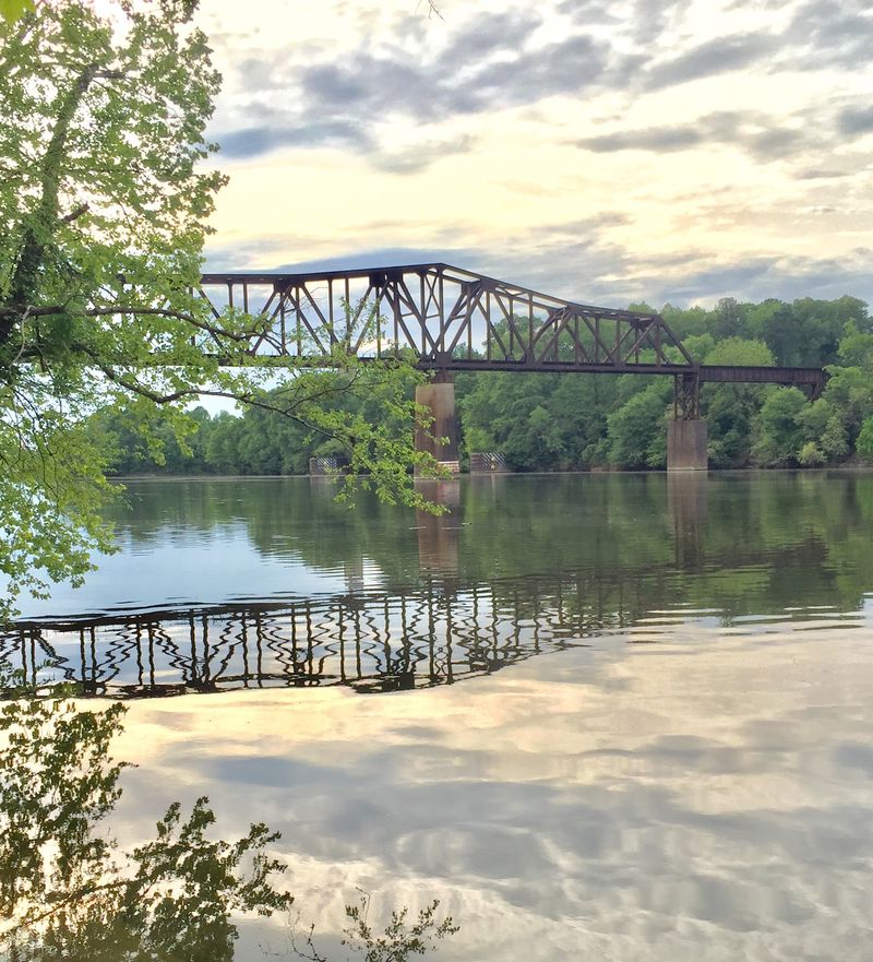 Egrets, Rowers, and River Town Charm in Tuscaloosa Egrets, Rowers, and River Town Charm in Tuscaloosa