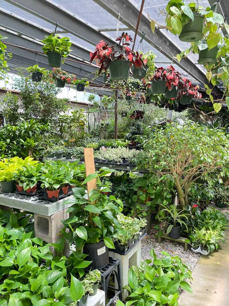 Eight Greenhouses Full of Green Surprises