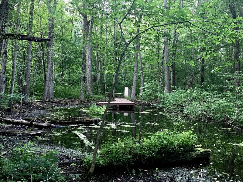 Eight Miles of Trails That Change With Every Turn Eight Miles of Trails That Change With Every Turn