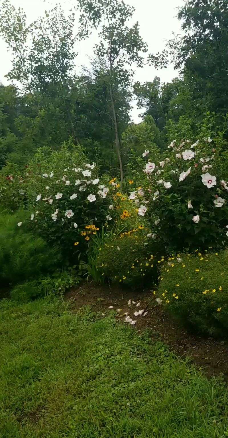 Eight Themed Gardens, Each With Its Own Personality