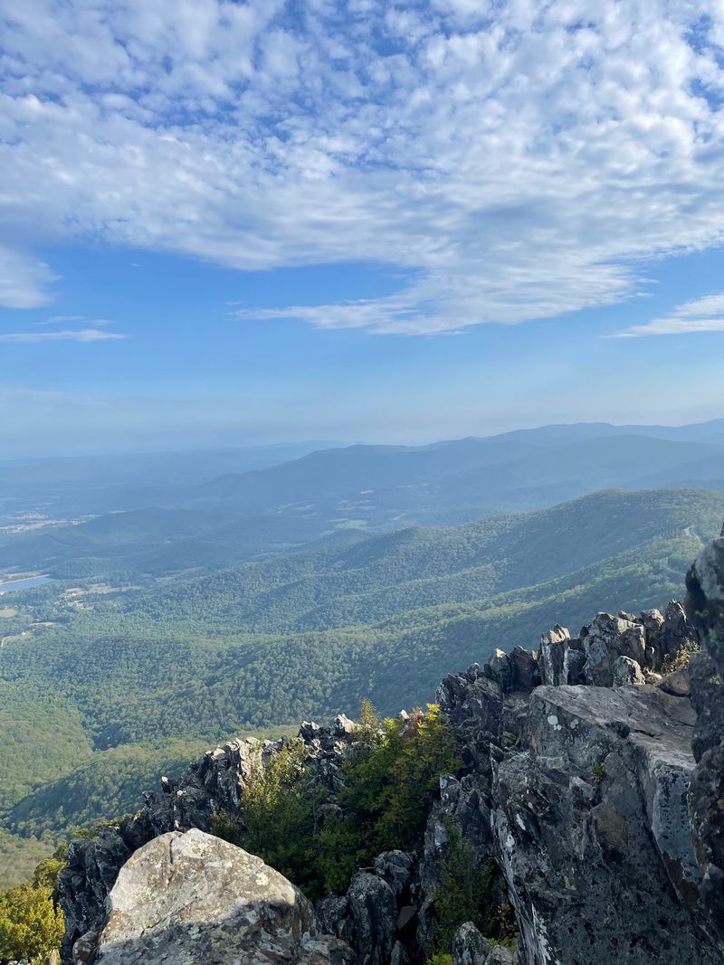 Eighteen Snake Species Call This Ridge Home