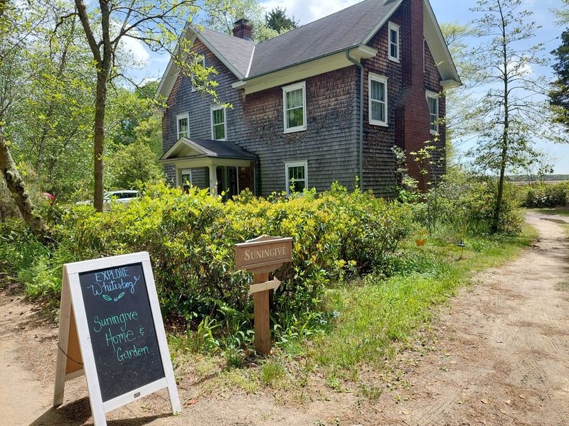 Elizabeth White's Home and Her Clever Ideas Elizabeth White's Home and Her Clever Ideas
