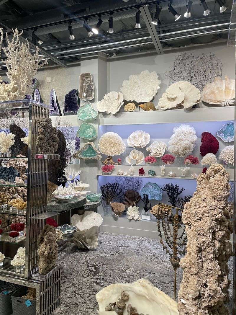 Ethical Sourcing and Delicate Corals