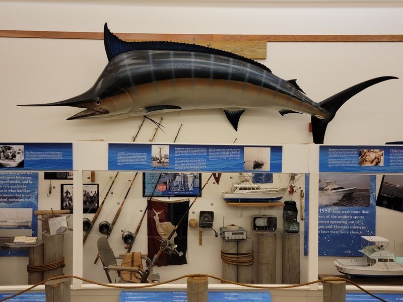 Everyday Sea Life and Planning Your Visit