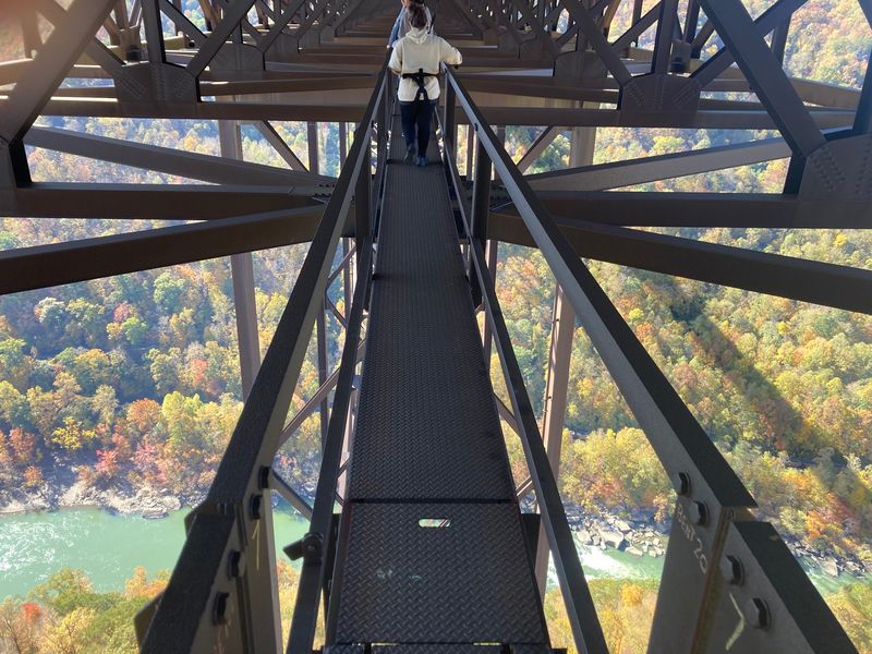 Falcons, Rafters, and Fall Color Falcons, Rafters, and Fall Color