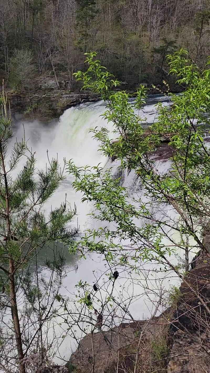 Fall Color, Spring Blooms, and Quiet Winters