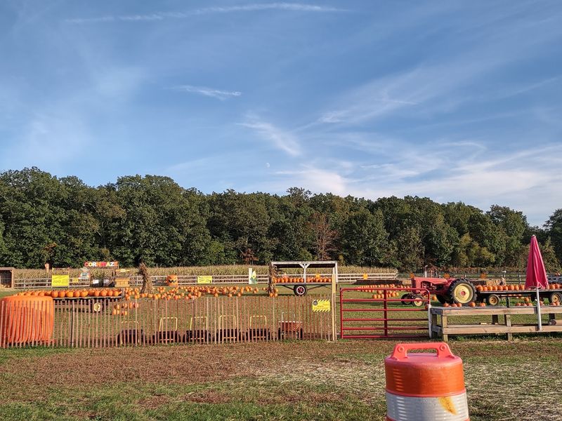 Fall Corn Maze, Straw Bales, And Pumpkins Fall Corn Maze, Straw Bales, And Pumpkins