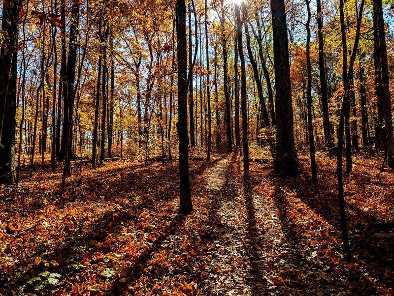 Fall Festival at Leopold's Preserve in Broad Run