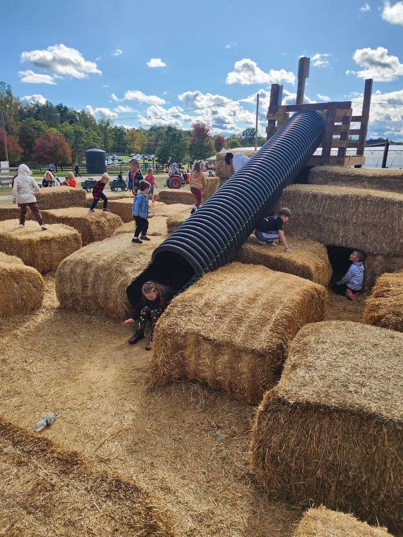 Fall Fun Farm Where Kids Run Wild Fall Fun Farm Where Kids Run Wild