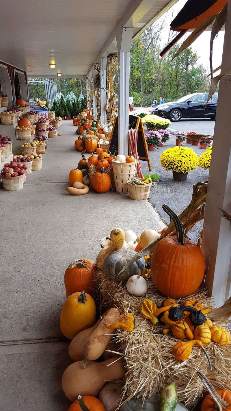 Fall Hayrides, Corn Mazes And Pumpkins Fall Hayrides, Corn Mazes And Pumpkins