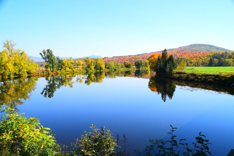 Fall Hunger Turns the North Country Into an All You Can Eat Buffet Fall Hunger Turns the North Country Into an All You Can Eat Buffet