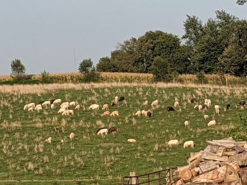 Farming Without Shortcuts, and You Can See It