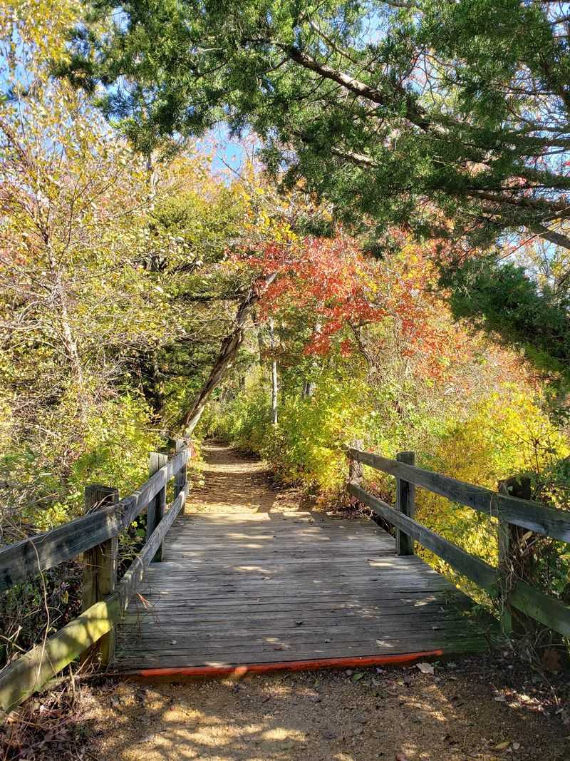Fifteen Miles Of Trails Worth Wandering